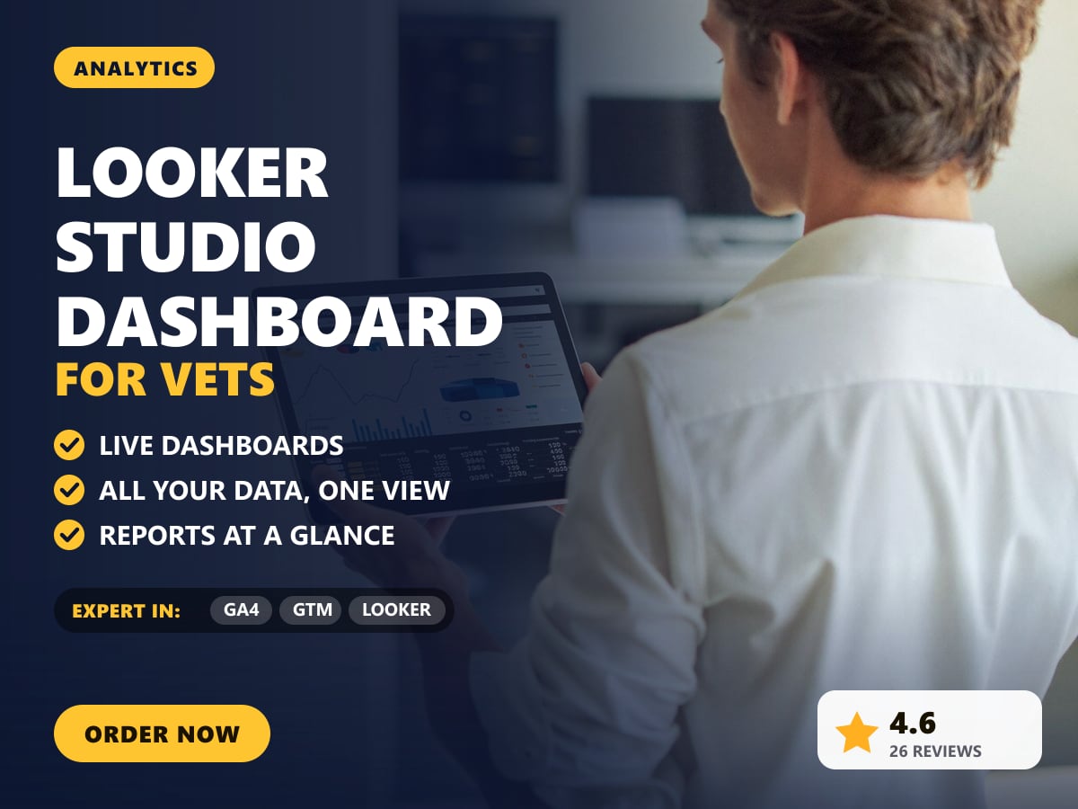 Looker Studio dashboard for vets — image 1